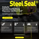 Schnelle, günstige Zylinderkopfdichtung Reparatur ohne Demontage mit Steel Seal